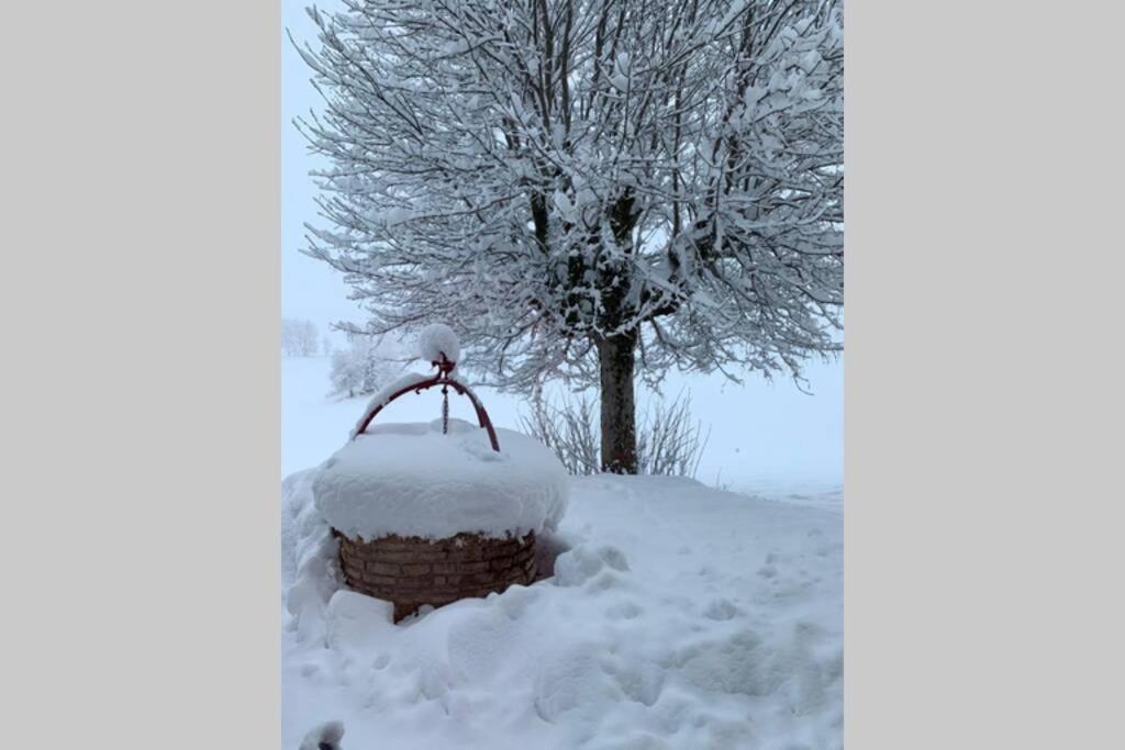 T2 Tout Confort, Depart Ski De Fond Depuis Le Jardin Apartment Les Rousses Exterior photo