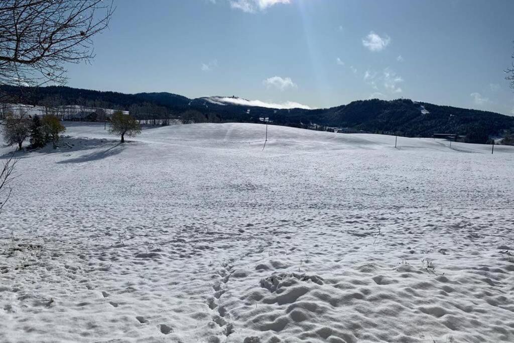 T2 Tout Confort, Depart Ski De Fond Depuis Le Jardin Apartment Les Rousses Exterior photo