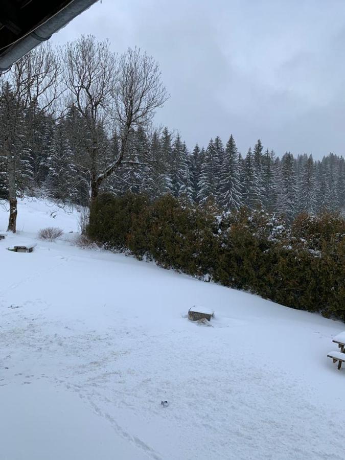 T2 Tout Confort, Depart Ski De Fond Depuis Le Jardin Apartment Les Rousses Exterior photo